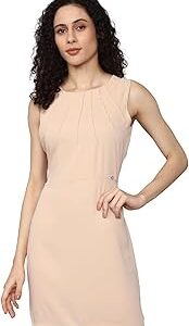 Women Sheath Standard Length Dress