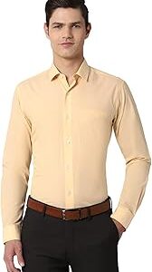 Men's Cotton Solid Regular Fit Shirt