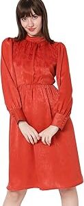 High Neck Cuffed Sleeve Embroidered Fit & Flare Dress